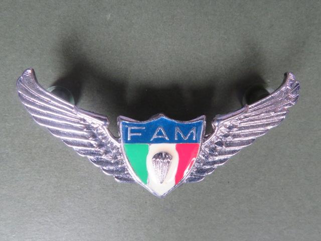 Mexico Basic Parachute Wings
