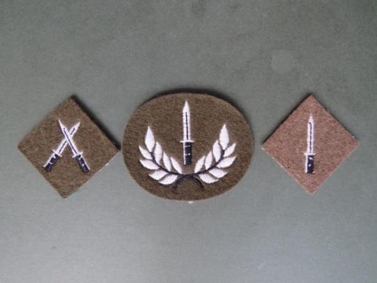 British Army Infantry Badges, Combat Infantryman, Combat Infantryman 1st Class & Section Commanders Course Badges