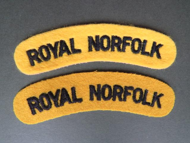 British Army 1950's The Royal Norfolk Regiment Shoulder Titles