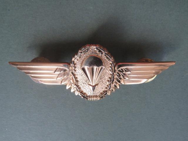 Germany Post 1983 Class 1 (Master) Parachute Wings