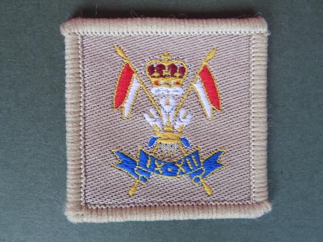 British Army D Squadron 9th/12th Royal Lancers Desert Helmet Badge