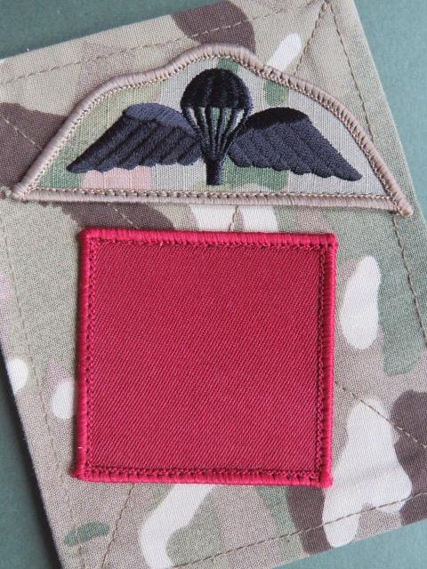 British Army 1st Parachute Battalion DZ and Parachute Wings on MTP Blanking Plate