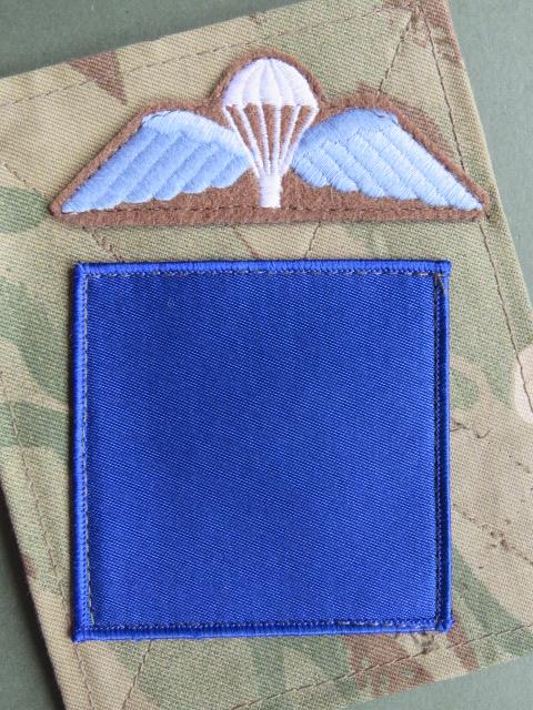 British Army 2nd Parachute Battalion DZ and Parachute Wings on MTP Blanking Plate