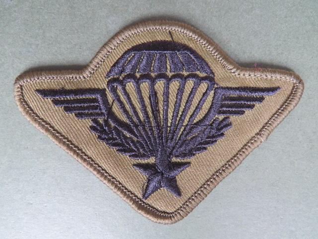 France Parachute Wings