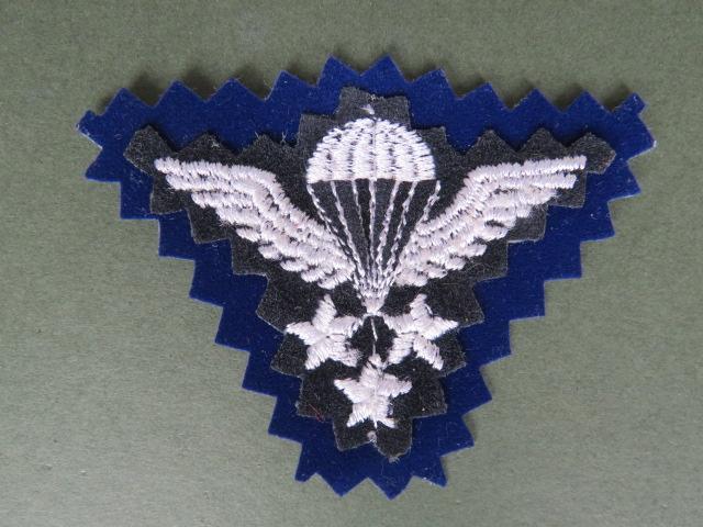 Iran Master Parachute Wings