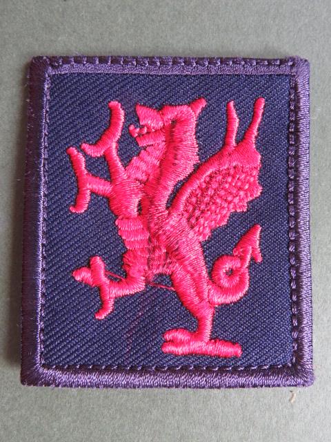 British Army 1st Battalion, The Royal Welsh Fusiliers TRF