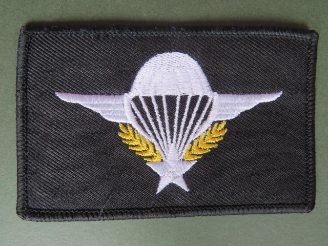 France Army Basic Parachute Wings