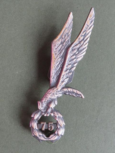 Poland Army Parachute Badge 75 Jumps