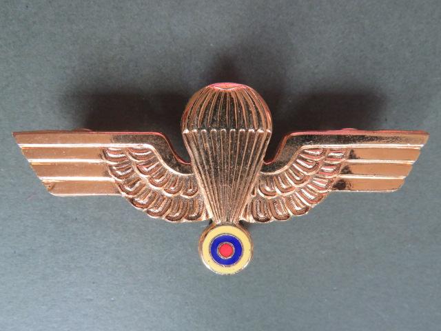 Ecuador Air Force Basic Parachute Wings