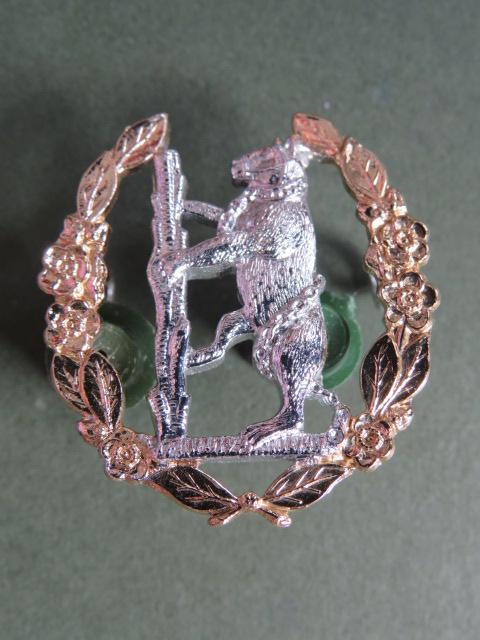 British Army The Queen's Own Warwickshire & Worcestershire Yeomanry Cap Badge