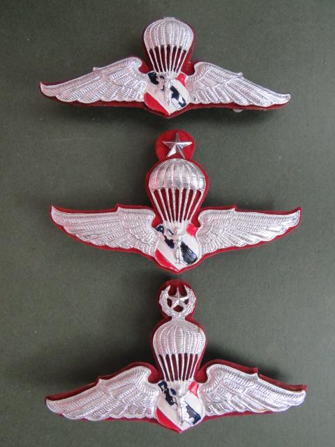 Thailand National Border Police Parachute Wings