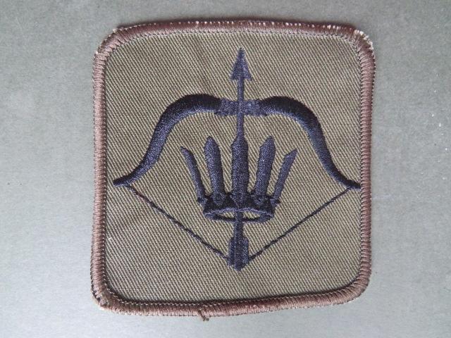 Royal Air Force Regiment 27 (Countering Chemical, Biological, Radiological and Nuclear (C-CBRN)) Squadron Patch