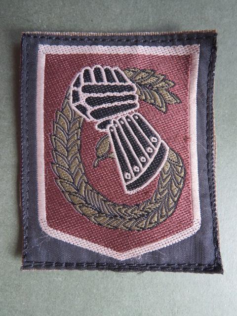 France Army 3rd Division Shoulder Patch