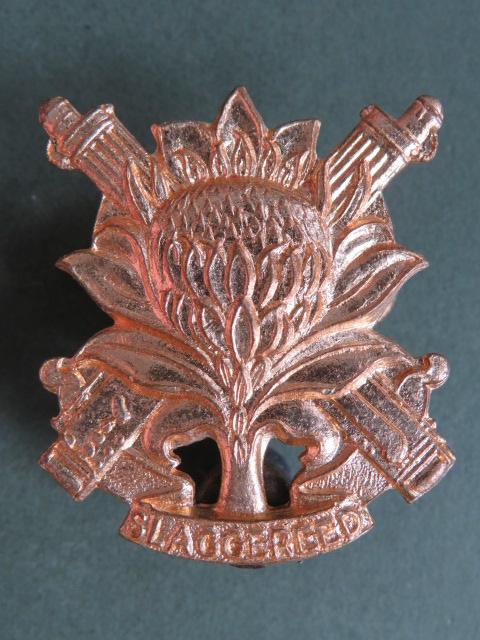 South Africa Army Regiment Langenhoven Beret Badge