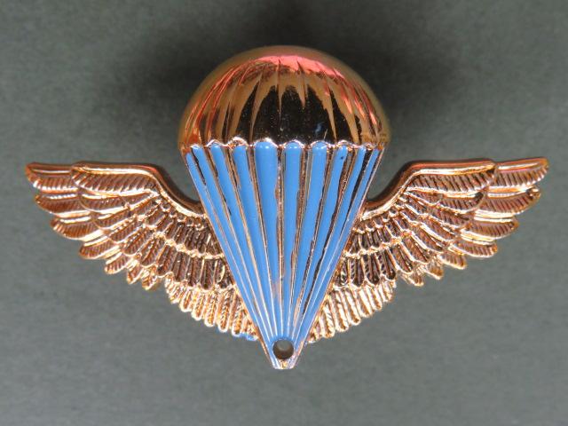 Ukraine Airborne Forces Parachute Wings