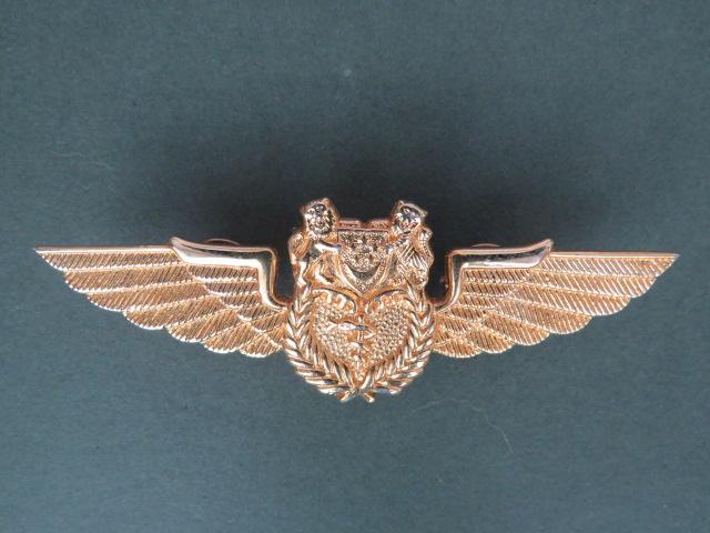 Singapore Air Force Flight Medical Officers Wings