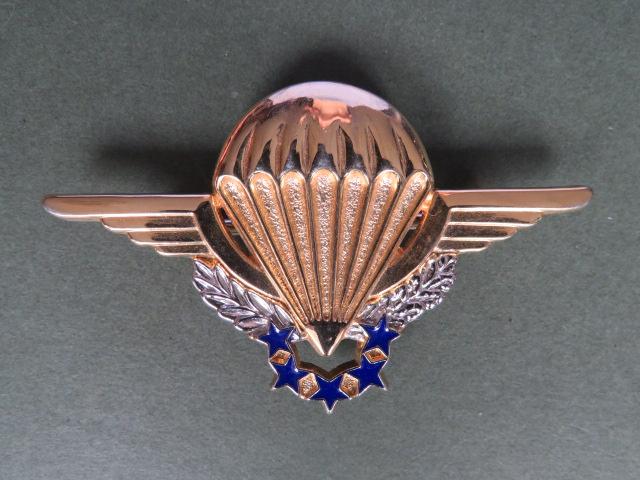 France H.A.L.O. Parachute Wings