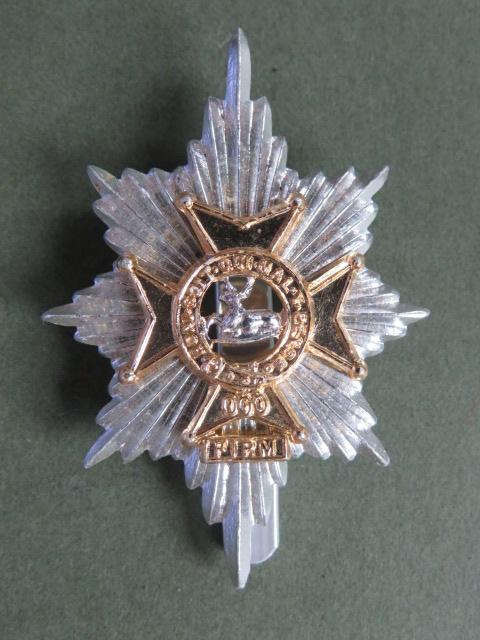 British Army The Worcestershire and Sherwood Foresters Regiment Cap Badge