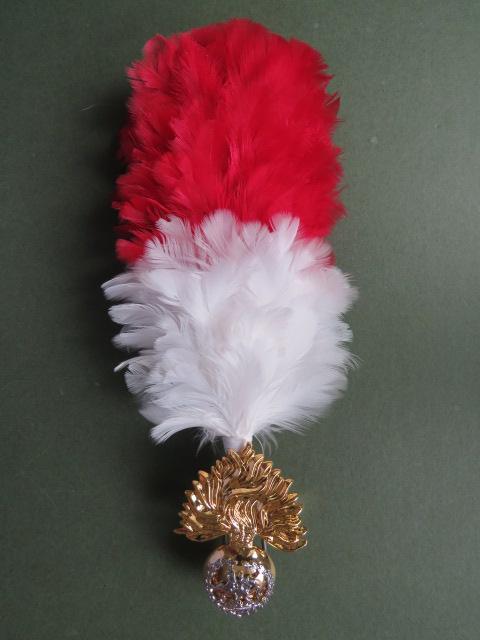 British Army Royal Regiment of Fusiliers Cap Badge & Hackle