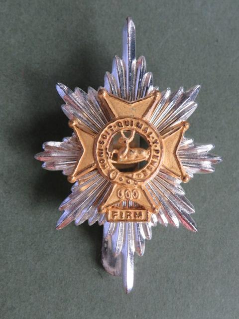 British Army The Worcestershire and Sherwood Foresters Regiment Cap Badge