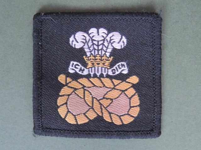 British Army The Staffordshire Regiment C.C.F. (Combined Cadet Force) Beret Badge