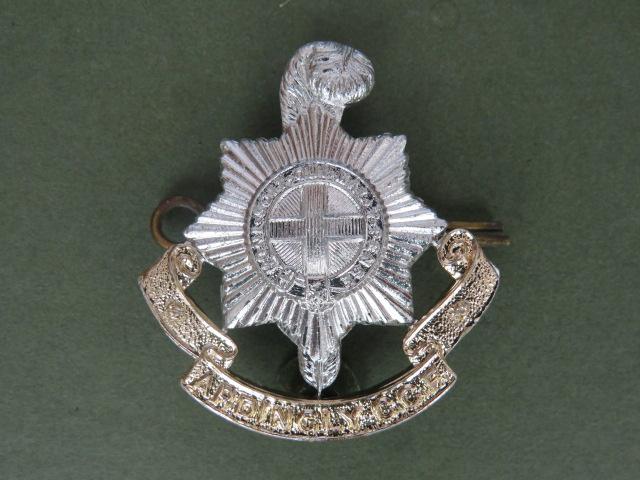 British Army Ardingly College C.C.F. (Combined Cadet Force) Cap Badge scarce