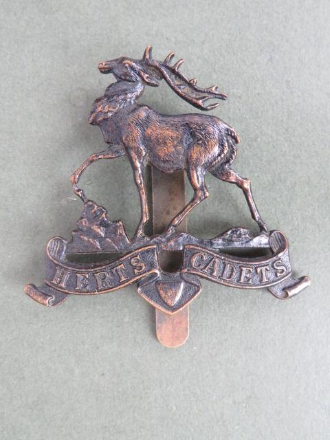 British Army Hertfordshire Cadets Cap Badge