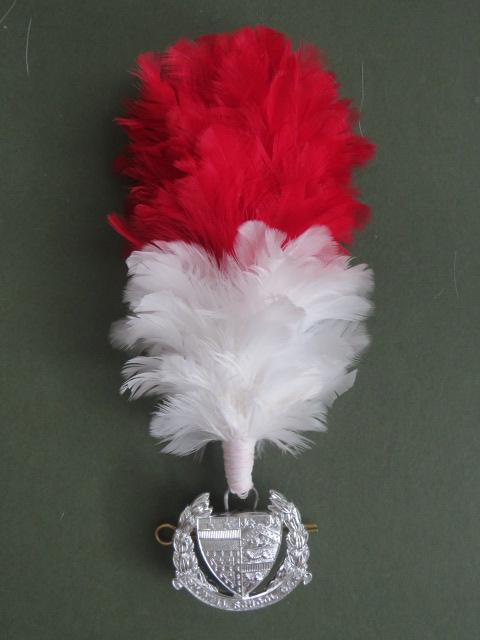 British Army Solihull School C.C.F. (Combined Cadet Force) Beret Badge, Hackle and Presentation Leek