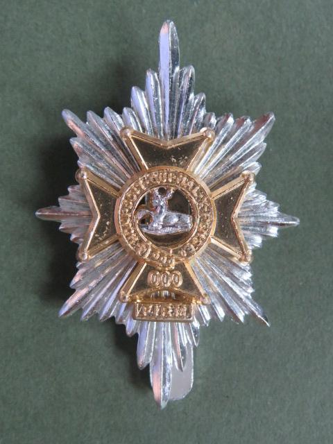 British Army The Worcestershire and Sherwood Foresters Regiment Cap Badge