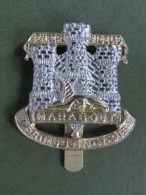 British Army The Devonshire & Dorset Regiment Cap Badge