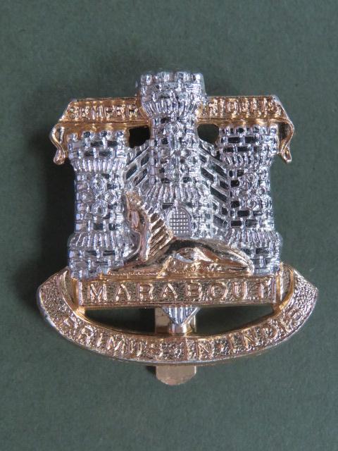 British Army The Devonshire & Dorset Regiment Cap Badge