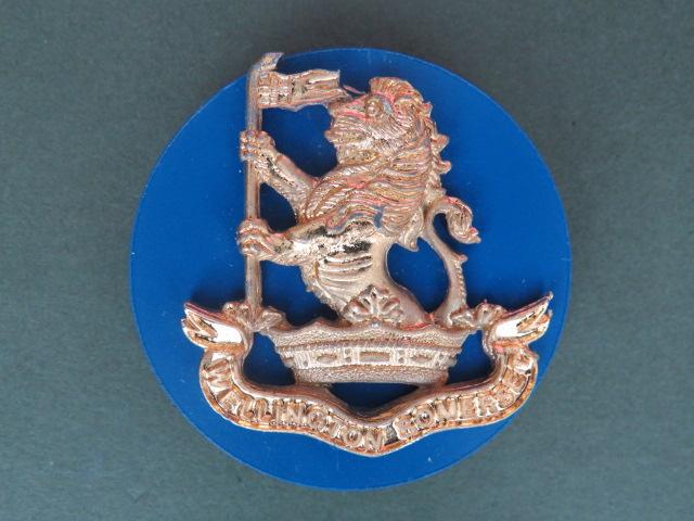 British Army Wellington School, Somerset Cap Badge & Backing