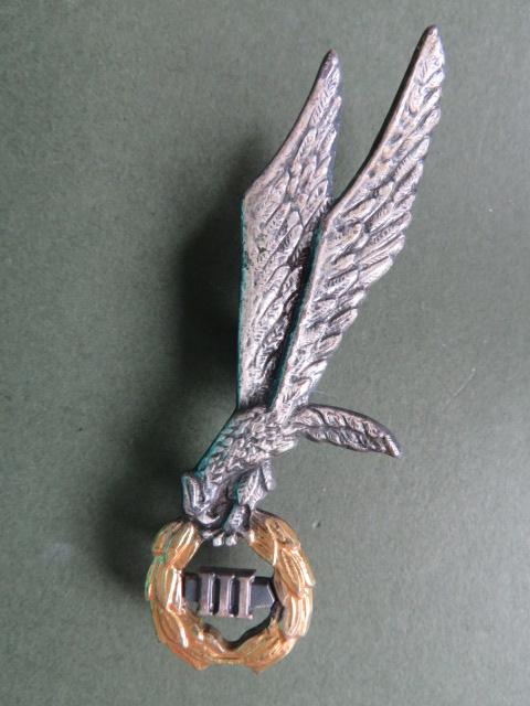 Poland Army Parachute Instructor Badge 3rd Class