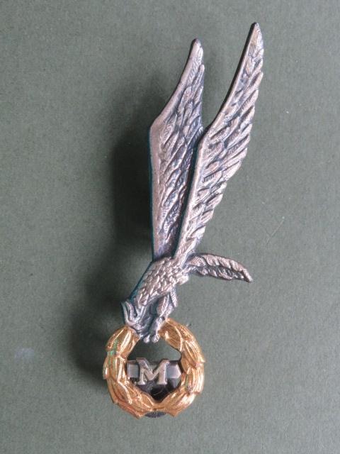 Poland Army Parachute Instructor Badge Master Class