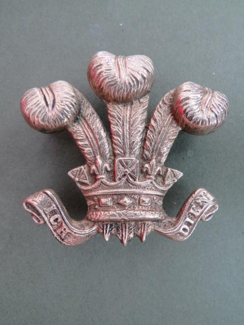 British Army The 10th Royal Hussars (Prince of Wales's Own) / Royal Scots Dragoon Guards Arm Badge