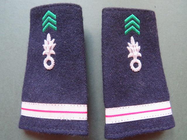 France Foreign Legion 1 R.E.C. Adjutant Chef Rank Slides