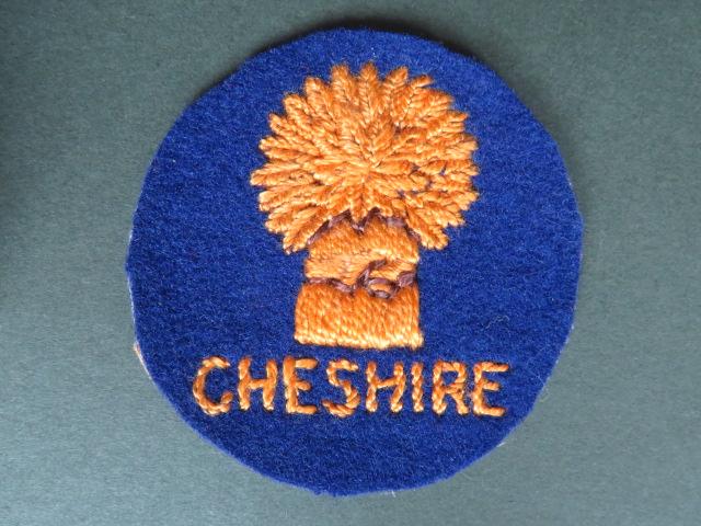 British Army 113th (Cheshire) Assault Engineer Regiment (T.A.) Patch