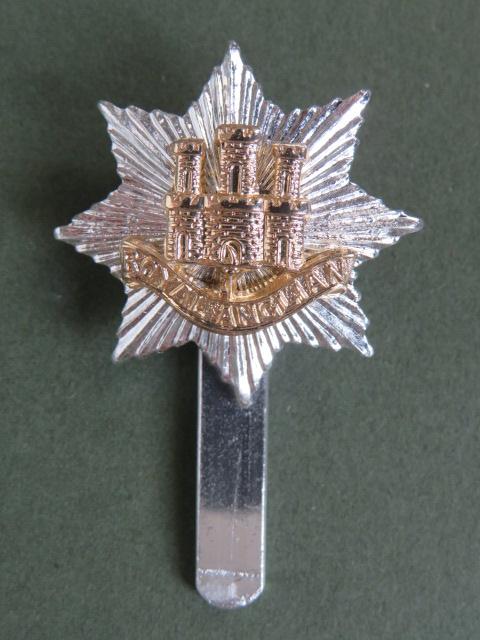 British Army Royal Anglian Regiment Cap Badge