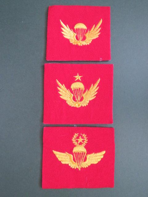 Republic of Korea Marine Corps Parachute Wings
