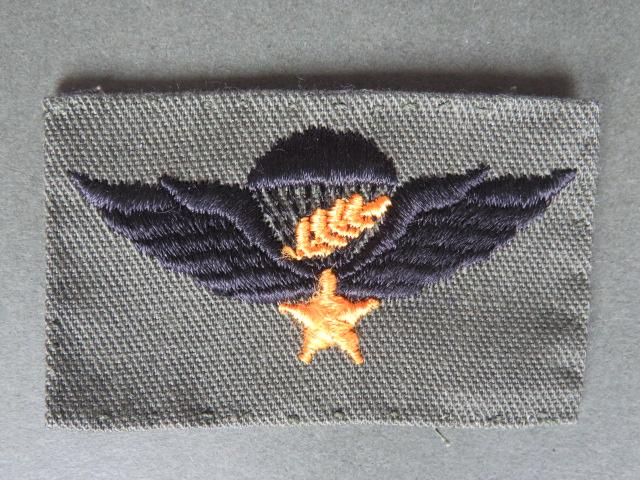 USA (Vietnam) Master Parachute Wings