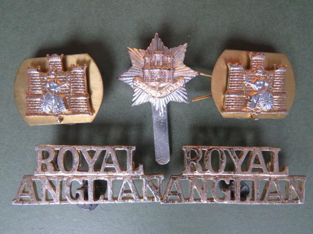 British Army 1st Battalion, The Royal Anglian Regiment Cap & Collar Badges and Shoulder Titles