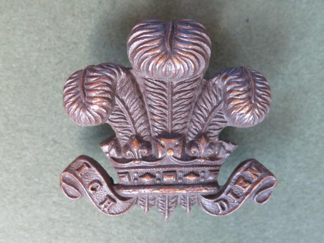 British Army The Royal Wiltshire Yeomanry (Prince of Wales's Own) Officers Service Dress Collar Badge