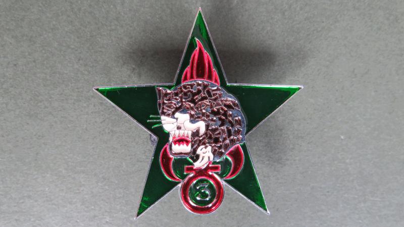 France Foreign Legion 3° Régiment Etranger d' Infanterie, d’Eclaireur Jungle (Jungle Scout) Pocket Crest