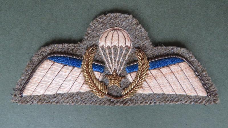 Netherlands Army A Wing with Combat Jump Wreath Dress Uniform Parachute Wings
