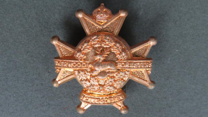 British Army The Sherwood Foresters (Nottinghamshire & Derbyshire Regiment) Collar Badge