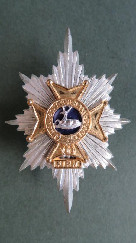 British Army The Worcestershire and Sherwood Foresters Regiment Officers Cap Badge