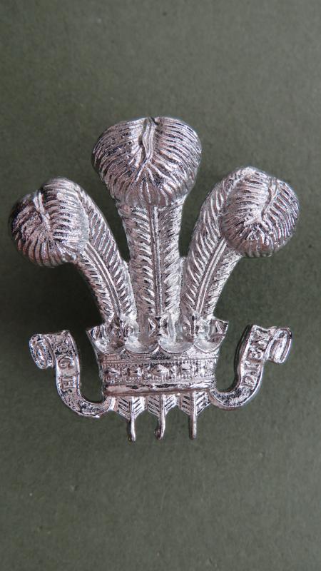British Army The Royal Hussars (Prince of Wales's Own) Arm Badge
