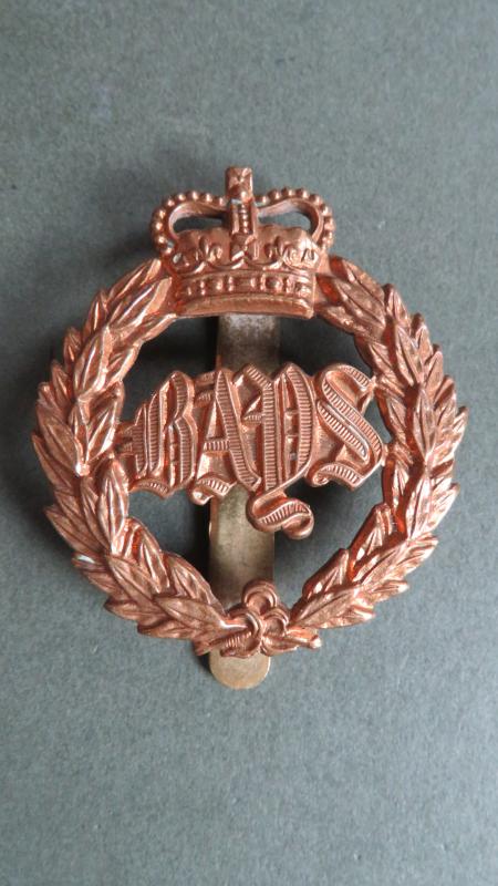British Army Pre 1953 The Queen's Bays (2nd Dragoon Guards) Cap Badge