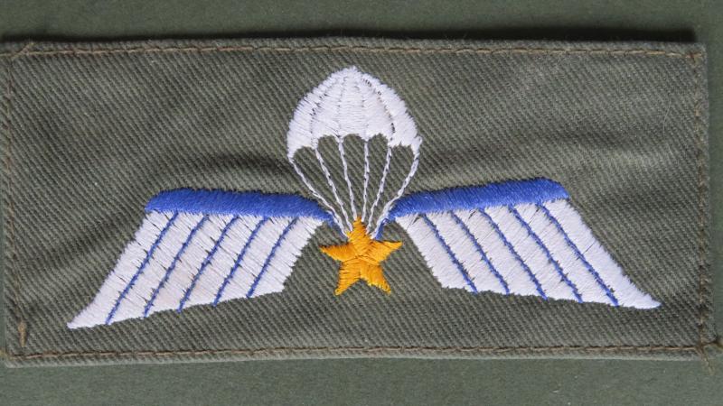 Netherlands Army Parachute Wings (A Wings)