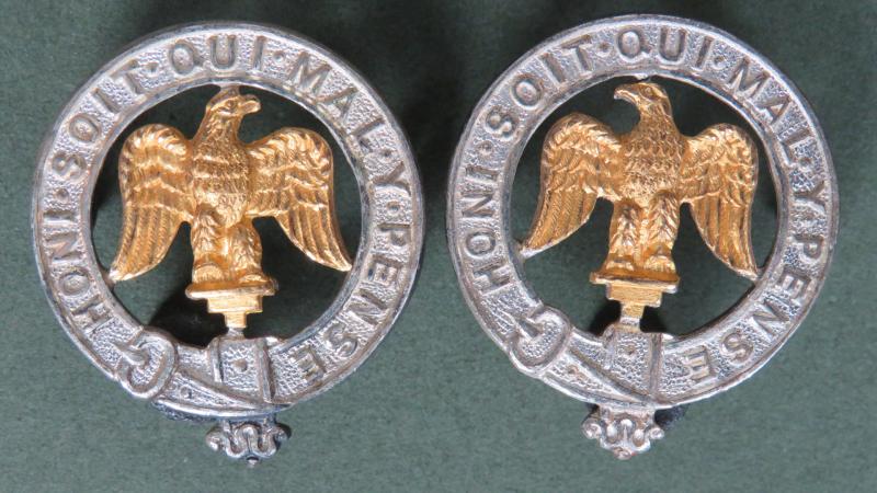 British Army 3rd Battalion, The Anglian Regiment Officers Collar Badges